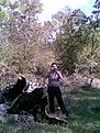 Натиснете снимката за да я уголемите

Име:Moi snimki010.jpg
Прегледи:104
Размер:151.8 КБ
ID:5040041