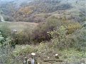 Натиснете снимката за да я уголемите

Име:Изображ.027.jpg
Прегледи:3451
Размер:217.1 КБ
ID:5040051
