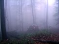 Натиснете снимката за да я уголемите

Име:IMGA0351.jpg
Прегледи:164
Размер:65.7 КБ
ID:5040080