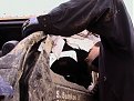 Натиснете снимката за да я уголемите

Име:IMGA0374.jpg
Прегледи:234
Размер:115.1 КБ
ID:5040083