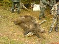 Натиснете снимката за да я уголемите

Име:22.jpg
Прегледи:482
Размер:261.1 КБ
ID:5040442