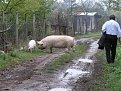 Натиснете снимката за да я уголемите

Име:P1013648 (1632 x 1224).jpg
Прегледи:173
Размер:173.4 КБ
ID:5040780