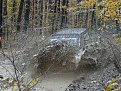 Натиснете снимката за да я уголемите

Име:DSC02394 (Small).JPG
Прегледи:317
Размер:81.9 КБ
ID:5041019