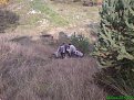 Натиснете снимката за да я уголемите

Име:DSC01531 (1536 x 1152).jpg
Прегледи:163
Размер:217.7 КБ
ID:5041223