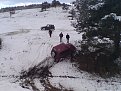 Натиснете снимката за да я уголемите

Име:DSC00957.jpg
Прегледи:187
Размер:157.8 КБ
ID:5041620