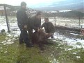Натиснете снимката за да я уголемите

Име:Слуката.jpg
Прегледи:417
Размер:175.8 КБ
ID:5041690
