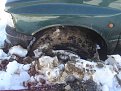 Натиснете снимката за да я уголемите

Име:DSC01640.JPG
Прегледи:492
Размер:151.2 КБ
ID:5041894