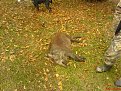 Натиснете снимката за да я уголемите

Име:1.jpg
Прегледи:334
Размер:260.2 КБ
ID:5043639