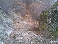 Натиснете снимката за да я уголемите

Име:16112007(002).jpg
Прегледи:250
Размер:254.2 КБ
ID:5043665