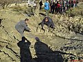 Натиснете снимката за да я уголемите

Име:DSC00639.jpg
Прегледи:276
Размер:198.0 КБ
ID:5043957