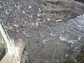 Натиснете снимката за да я уголемите

Име:IMG_1608.jpg
Прегледи:86
Размер:165.7 КБ
ID:5044015