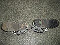 Натиснете снимката за да я уголемите

Име:SG10second hand1.jpg
Прегледи:166
Размер:282.2 КБ
ID:5044216