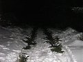 Натиснете снимката за да я уголемите

Име:Picture 665.jpg
Прегледи:149
Размер:302.2 КБ
ID:5044224
