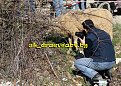 Натиснете снимката за да я уголемите

Име:IMG_9245.JPG
Прегледи:111
Размер:100.5 КБ
ID:5044500