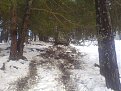Натиснете снимката за да я уголемите

Име:DSC00142.jpg
Прегледи:156
Размер:155.8 КБ
ID:5044560
