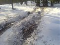 Натиснете снимката за да я уголемите

Име:DSC00137.jpg
Прегледи:161
Размер:128.7 КБ
ID:5044572