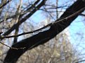 Натиснете снимката за да я уголемите

Име:DSCF2852.jpg
Прегледи:142
Размер:87.7 КБ
ID:5044634