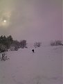 Натиснете снимката за да я уголемите

Име:Photo-0170.jpg
Прегледи:162
Размер:31.2 КБ
ID:5045073