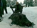 Натиснете снимката за да я уголемите

Име:16122007(001).jpg
Прегледи:209
Размер:125.9 КБ
ID:5045077