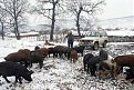 Натиснете снимката за да я уголемите

Име:IMG_6082.jpg
Прегледи:197
Размер:42.1 КБ
ID:5045140