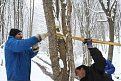 Натиснете снимката за да я уголемите

Име:IMG_6110.jpg
Прегледи:161
Размер:21.0 КБ
ID:5045147