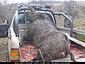 Натиснете снимката за да я уголемите

Име:303636.jpg
Прегледи:304
Размер:107.2 КБ
ID:5045151