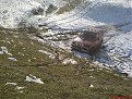 Натиснете снимката за да я уголемите

Име:DSC00726.jpg
Прегледи:108
Размер:210.9 КБ
ID:5045841