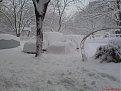Натиснете снимката за да я уголемите

Име:DSC00761.jpg
Прегледи:414
Размер:125.3 КБ
ID:5046060