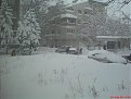 Натиснете снимката за да я уголемите

Име:DSC00769.jpg
Прегледи:349
Размер:113.0 КБ
ID:5046063