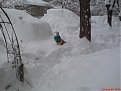 Натиснете снимката за да я уголемите

Име:DSC00782.jpg
Прегледи:322
Размер:102.3 КБ
ID:5046068