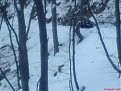 Натиснете снимката за да я уголемите

Име:DSC00601.jpg
Прегледи:108
Размер:90.6 КБ
ID:5046158