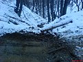 Натиснете снимката за да я уголемите

Име:DSC00603.jpg
Прегледи:105
Размер:133.6 КБ
ID:5046160