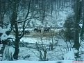 Натиснете снимката за да я уголемите

Име:DSC00611.jpg
Прегледи:116
Размер:166.8 КБ
ID:5046168