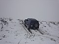 Натиснете снимката за да я уголемите

Име:DSC07472.jpg
Прегледи:118
Размер:79.4 КБ
ID:5046269