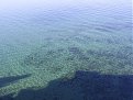 Натиснете снимката за да я уголемите

Име:oxrid 074.jpg
Прегледи:160
Размер:172.5 КБ
ID:5046285