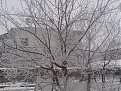 Натиснете снимката за да я уголемите

Име:DSC00538.jpg
Прегледи:258
Размер:261.4 КБ
ID:5047115