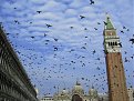 Натиснете снимката за да я уголемите

Име:IMG_4083 (Medium).JPG
Прегледи:366
Размер:76.0 КБ
ID:5047665