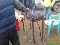 Натиснете снимката за да я уголемите

Име:DSC00542.jpg
Прегледи:151
Размер:184.4 КБ
ID:5047770