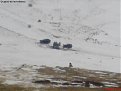 Натиснете снимката за да я уголемите

Име:DSC00662.jpg
Прегледи:151
Размер:64.5 КБ
ID:5048092