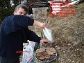 Натиснете снимката за да я уголемите

Име:Kam murgash 035.jpg
Прегледи:185
Размер:246.3 КБ
ID:5048115