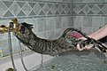 Натиснете снимката за да я уголемите

Име:koshmot.jpg
Прегледи:355
Размер:83.4 КБ
ID:5048219