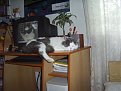 Натиснете снимката за да я уголемите

Име:PIC_0022.JPG
Прегледи:329
Размер:272.4 КБ
ID:5048623