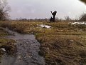 Натиснете снимката за да я уголемите

Име:060220081915.jpg
Прегледи:566
Размер:137.8 КБ
ID:5048797