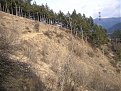 Натиснете снимката за да я уголемите

Име:Picture 257.jpg
Прегледи:103
Размер:245.1 КБ
ID:5049161