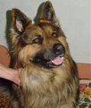 Натиснете снимката за да я уголемите

Име:MAX.JPG
Прегледи:380
Размер:6.8 КБ
ID:5049180