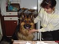 Натиснете снимката за да я уголемите

Име:Max i mama.jpg
Прегледи:407
Размер:104.5 КБ
ID:5049181