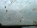 Натиснете снимката за да я уголемите

Име:DSC00355.jpg
Прегледи:754
Размер:75.5 КБ
ID:5049355