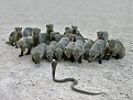Натиснете снимката за да я уголемите

Име:pic_2006-09-29_094230.jpg
Прегледи:129
Размер:226.3 КБ
ID:5049385