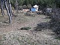 Натиснете снимката за да я уголемите

Име:Picture 259.jpg
Прегледи:123
Размер:326.2 КБ
ID:5049921