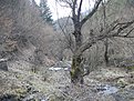 Натиснете снимката за да я уголемите

Име:Picture 278.jpg
Прегледи:88
Размер:278.1 КБ
ID:5049932